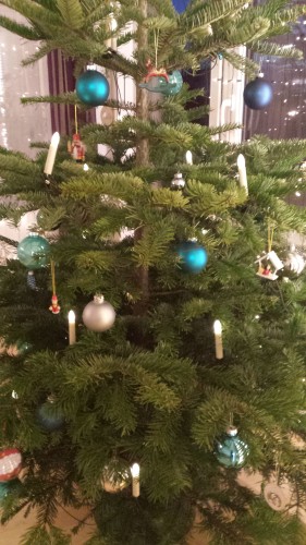 Weihnachten mit der Familie - Weihnachtsbaum_72dpi